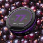 77 Nicotine Pouches Blackcurrant 20mg - Single Tin