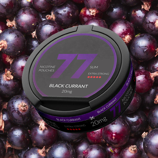 77 Nicotine Pouches Blackcurrant 20mg - Single Tin
