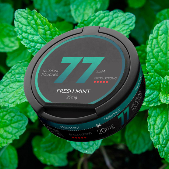 77 Nicotine Pouches Fresh Mint 20mg - Single Tin