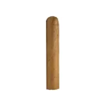Cusano Dominican Short Robusto Cigar - Single