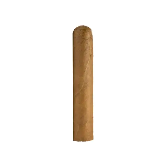 Cusano Dominican Short Robusto Cigar - Single