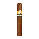 Foundation Olmec Claro Robusto Cigar - Single