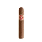 Punch Short de Punch Cigar - Single