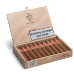 Punch Short de Punch Cigar - Box of 10