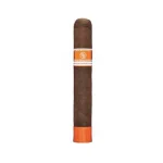 Rocky Patel Cigar Smoking World Championship Robusto Cigar - Single