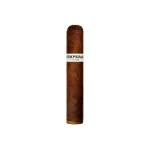 RoMa Craft Intemperance BA XXI Intrigue Cigar - Single