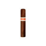 RoMa Craft Neanderthal SGP Rothschild Cigar - Single