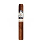 Room 101 Farce Maduro Robusto Cigar - Single