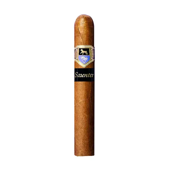 Warped Gellis Saunter Robusto Cigar - Single